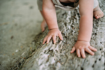 Kinderhände auf Treibholz
