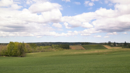 Fototapeta na wymiar Panoramic view of a green meadow and a blue sky