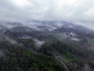 Fototapeta premium Mist rising from the amazon rainforest reflecting the importance of transpiration from the forest in driving precipitation