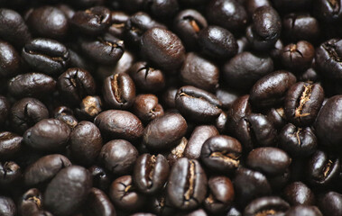 coffee bean close up (freshly roasted tanzanian peaberry beans) dark roast, medium, light, bowl, spoon, tanzania, africa, arabica, macro