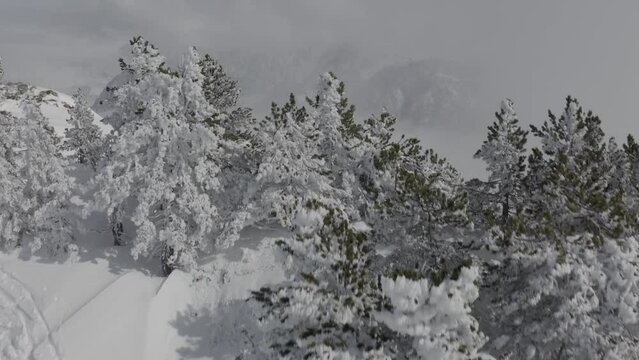 Chamrousse - Winter Landscape 09 - 4K - DLOG