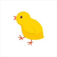 Chicken Yellow fluffy Poultry. Cute animal. Livestock, animal, Farming. Farm. Vector illustration isolated on white background.