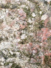 Stone texture