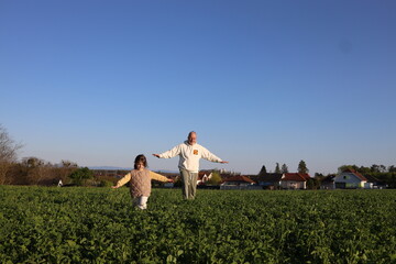 Naklejka premium Mature grey haired man walking in the meadow with little daughter 