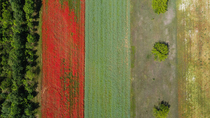 Campi dal drone
