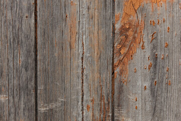 Texture of old wood. Grunge wooden surface with worn paint