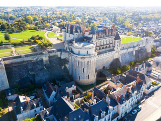 View of Royal castle Chateau de Amboise on river Loire, France