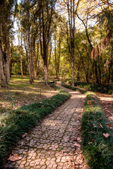 Beautiful path in the middle of nature, Witeck park in Brazil