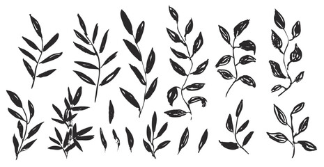Set of cute hand drawn black vector textured ink leaves and branches. Unique herbs for botanical background design, textile patterns, frames, greeting cards