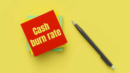 Cash burn rate.