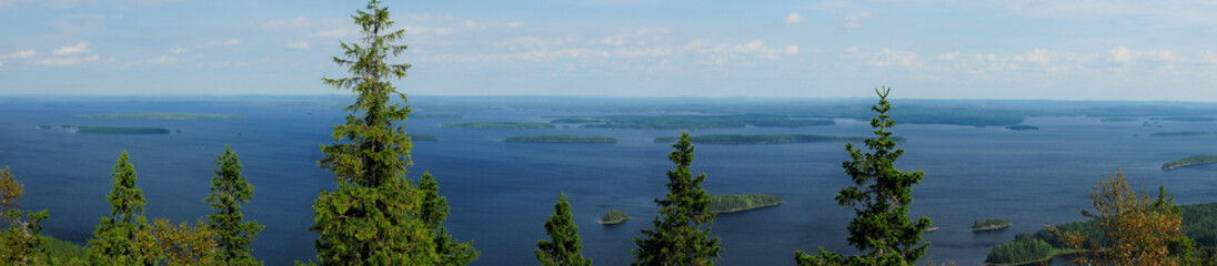 Fototapeta na wymiar Panorama View From The Tree Tops On The Koli Mountains To Lake Pielinen Finland On A Beautiful Sunny Summer Day With A Clear Blue Sky