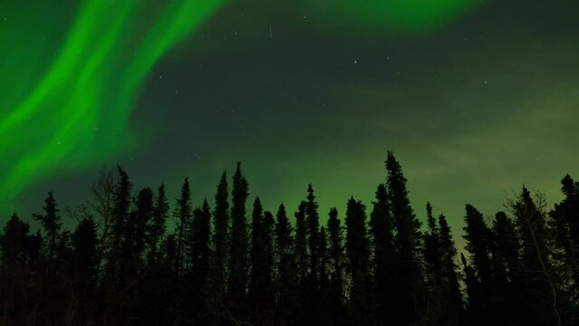 Aurora borealis time-lapse over Forest in Fairbanks
