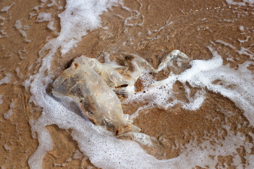 Plastic bag pollution on the beach