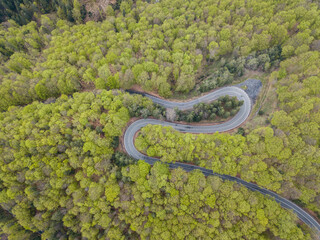 Winding road trough dense forest. Aerial drone view, top down