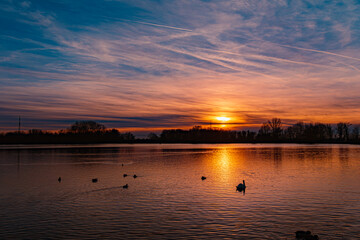 Fototapeta na wymiar Sunset with swans and eflections near Plattling, Isar, Bavaria, Germany