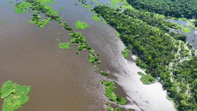 Amazonian Forest At Manaus Amazonas Brazil. Riverside Brook. Amazon Sky Forest Green. Forest Exterior Forest Background Landmark. Forest Green Summer Rainforest. Manaus Amazonas.
