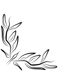 Nature Corner Border 