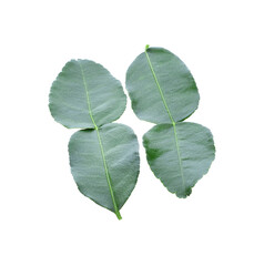 Obraz premium Bergamot fruit isolated transparent png