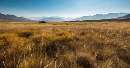 stunning mountain range in the distance, with a vast open plain of golden grass and wildflowers in the foreground, under a bright blue sky, generative ai