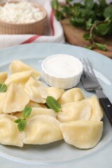 Plate of delicious dumplings (varenyky) with cottage cheese, mint and sour cream, closeup