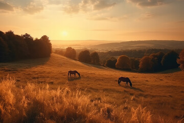 Obraz premium Golden countryside landscape with grazing horses on a rolling hill under a warm sunset sky, generative ai