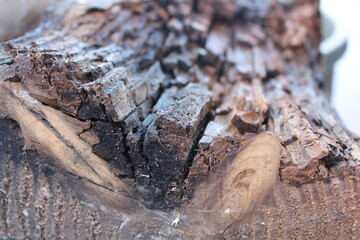 Textured Rotten Wood Board. Rotten Wood Images. Wood texture