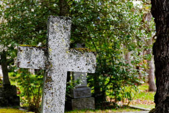 An image of a single old weathered stone cross in an old cemetery.