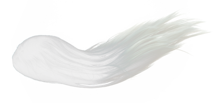 Two tone Wig hair style fly fall explosion. White Black woman wig hair float in mid air. Two tone wig hair extension wind blow cloud throw. White background isolated high speed freeze motion