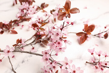 Beautiful blossoming branches on white marble background