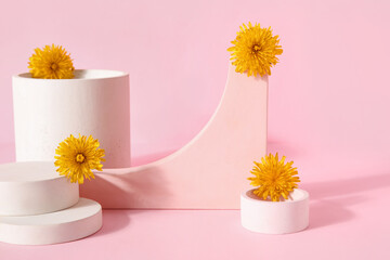 Decorative podiums with dandelion flowers on pink background