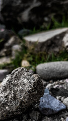 rocks in the river