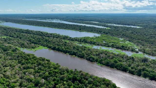 Amazon River At Manaus Amazonas Brazil. Forest Landscape Rural Scenery. Wildlife River Eco Stunning. Wildlife Jungle Eco Bay Travel. Wildlife Stunning Day Natural. Manaus Amazonas.