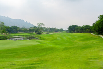 Fototapeta na wymiar beautiful views of the golf course