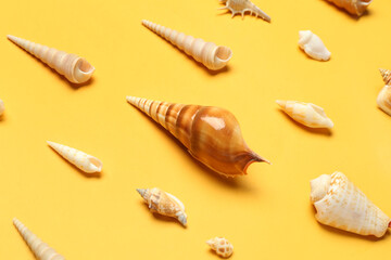 Different sea shells on yellow background, closeup