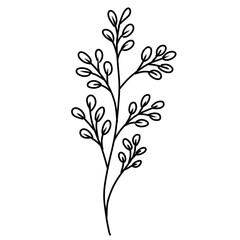 leaf illustration for your design