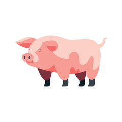 Cute piglet grazing on a rural meadow