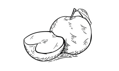 Hand Drawn Apple Illustration – Vintage Fruit Sketch for Organic and Natural Designs