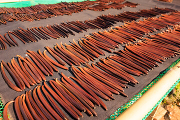 vanilla pods to dry in the sun on the shelf. angle view - obrazy, fototapety, plakaty