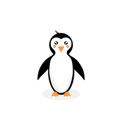 penguin on a white background