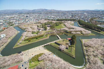 Beautiful aerial view of Goryokaku park and city with pink cherry blossoms in Spring, Hakodate,...