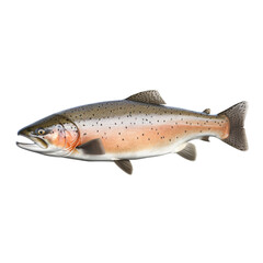 Atlantic salmon isolated on transparent background, Generative AI