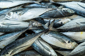 Fresh sea fish for sale in Indonesian traditional market. Ujung genteng beach, Sukabumi, Indonesia