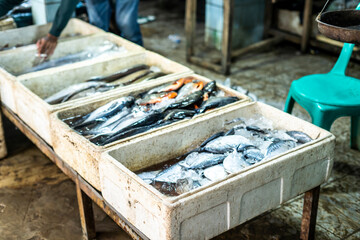 Fresh sea fish for sale in Indonesian traditional market. Ujung genteng beach, Sukabumi, Indonesia