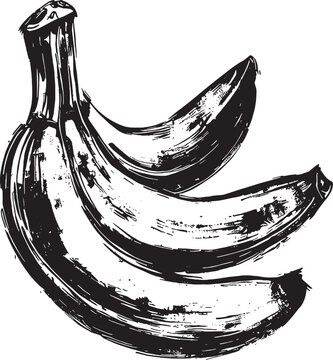 bananas vector drawing black on white
