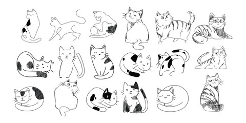 Fototapeta Set of cut cat character icon hand drawing vector illustration. Isolated on white background. obraz