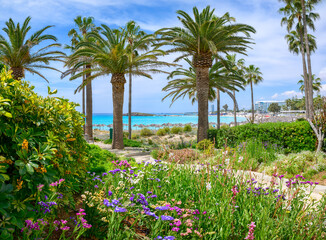 Landscape with Nissi beach, Ayia Napa, Cyprus island