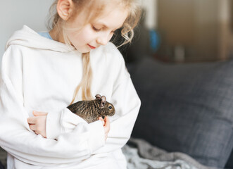 Young girl playing with small animal degu squirrel.
