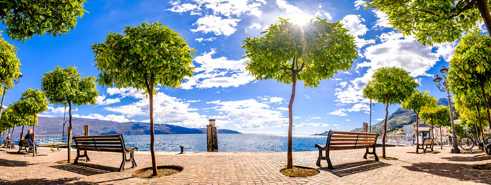 bench at a lake