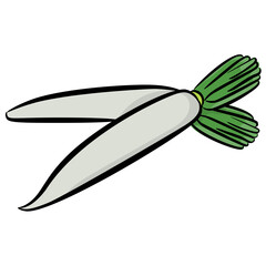 Hand drawn vector icon of a white radish