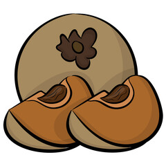 Prune fruit, loquat icon 